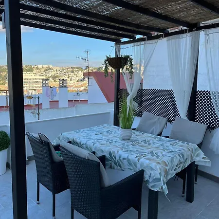 Sunny Holiday Terrace
